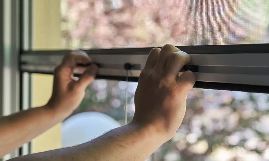 Insektenschutz Müllheim Insektenschutz Müllheim